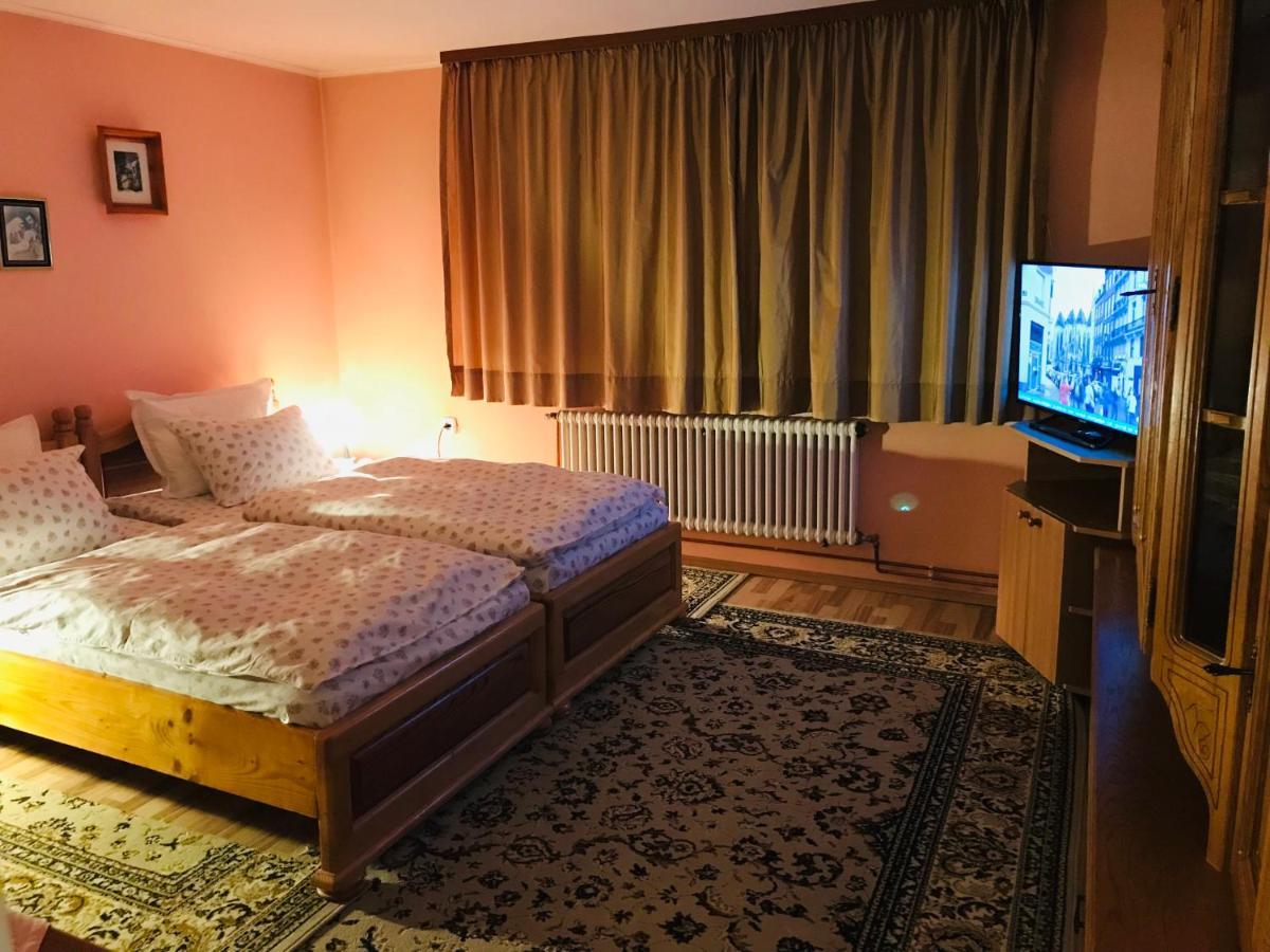 Apartament Vica Гура-Гуморулуй Экстерьер фото