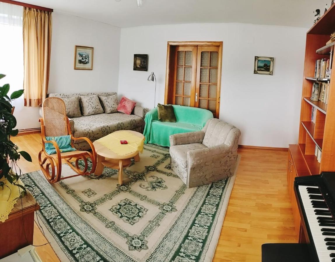 Apartament Vica Гура-Гуморулуй Экстерьер фото