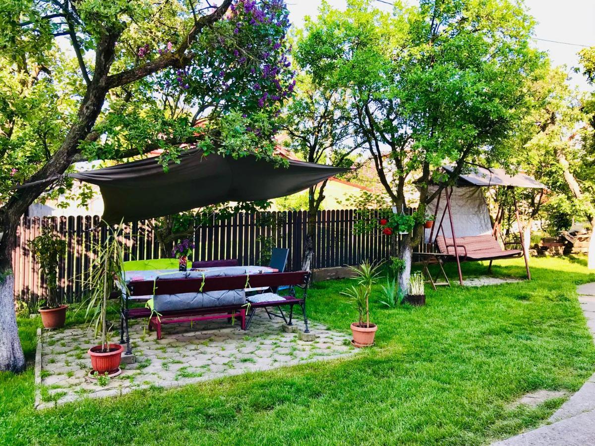 Apartament Vica Гура-Гуморулуй Экстерьер фото